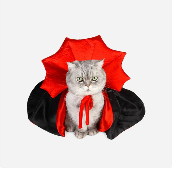 Pet Costumes